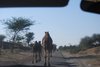 Mandawa 008