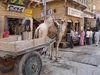 Jaisalmer 097
