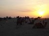 Jaisalmer 136