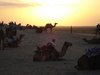 Jaisalmer 134