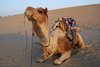 Jaisalmer 127