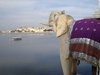 Udaipur 125