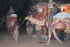 Pushkar 035