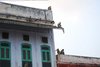 Pushkar 021