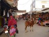 Pushkar 009