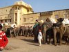 Jaipur 005