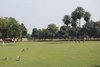 Agra 079