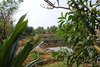 Goa 033