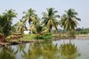 Goa 041