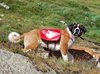 Grand St-Bernard 013