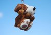 Grand St-Bernard 001
