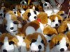 Grand St-Bernard 072