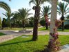 DSC02631
