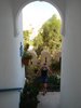 DSC02730