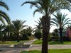 DSC02630