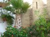 DSC02731