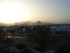 DSC03397
