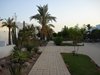 DSC03394
