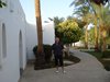 DSC03379