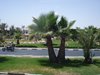 DSC03346