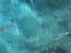 DSC03428