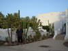 DSC03395