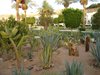 DSC03387