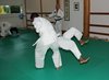 JMB_4513