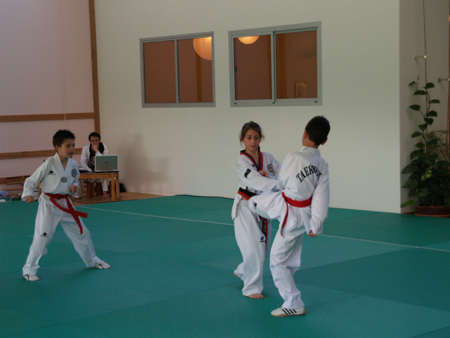 Taekwondo