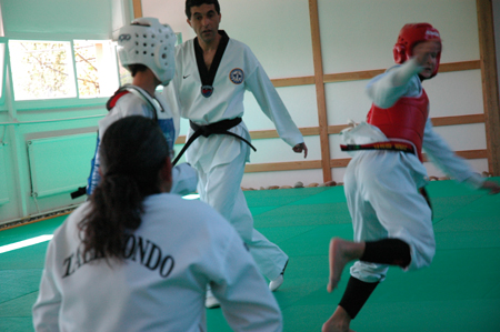 Taekwondo