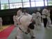 PICT0195