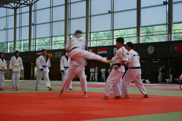 Ju-Jitsu