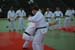 Ju-Jitsu