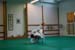 Bushido