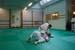 Bushido
