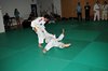 JMB_2620